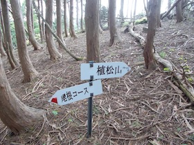 植松山
