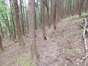 植松山