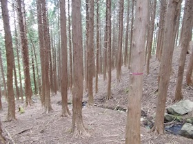 植松山