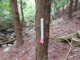 植松山