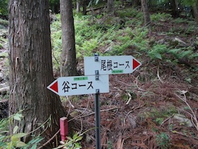 植松山