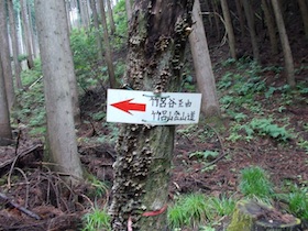 竹呂山