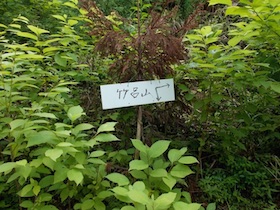 竹呂山