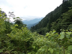 竹呂山