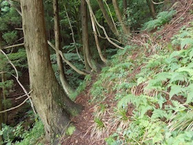 竹呂山