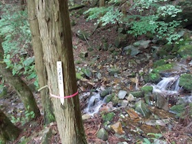 竹呂山