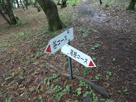 竹呂山