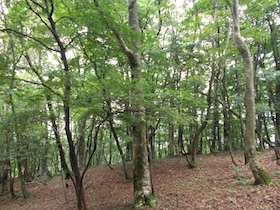竹呂山