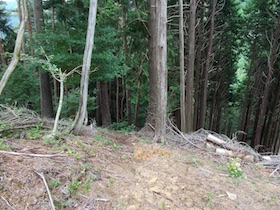 竹呂山