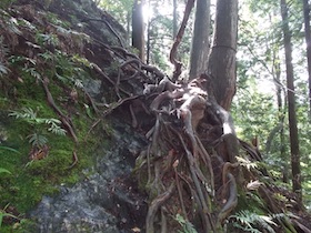 筱見48滝＆峠山