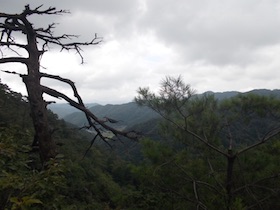 筱見48滝＆峠山