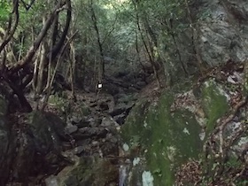 筱見48滝＆峠山