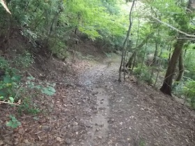 筱見48滝＆峠山