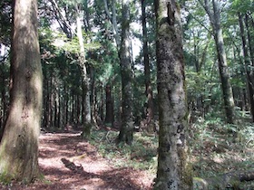 三国平・長義山・ダルガ峰