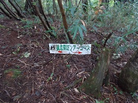 三国平・長義山・ダルガ峰