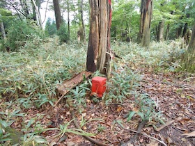 三国平・長義山・ダルガ峰