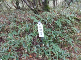 三国平・長義山・ダルガ峰