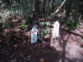 三国平・長義山・ダルガ峰