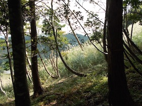 三国平・長義山・ダルガ峰