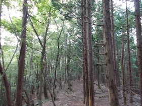 三国平・長義山・ダルガ峰