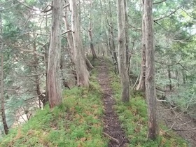 三国平・長義山・ダルガ峰