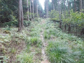 三国平・長義山・ダルガ峰