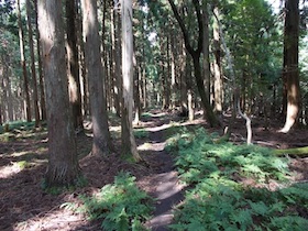 三国平・長義山・ダルガ峰