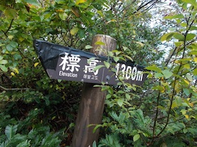 大山
