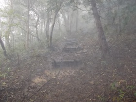 蒜山三座縦走