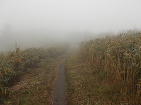 蒜山三座縦走