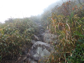 蒜山三座縦走