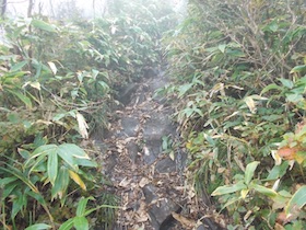 蒜山三座縦走