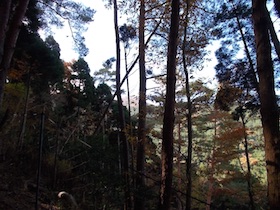 笛石山