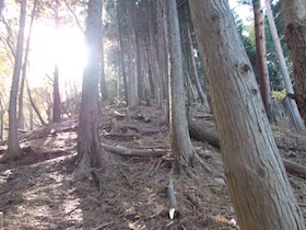 笛石山