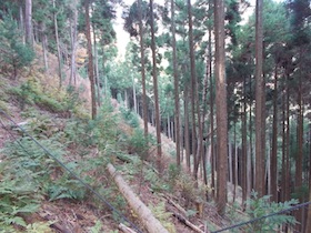 笛石山
