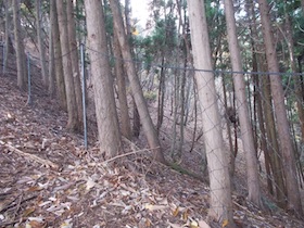 笛石山