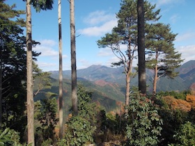 笛石山