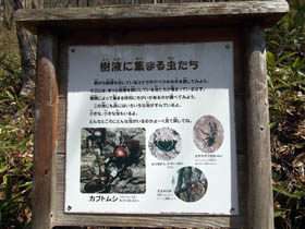 空山