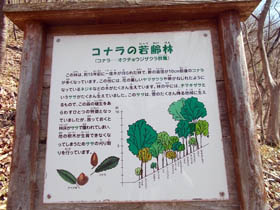 空山
