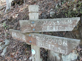 空山0