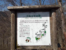 空山