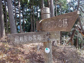 空山