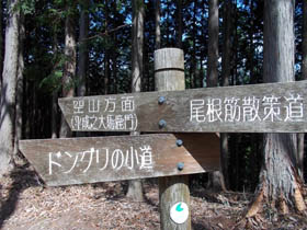 空山