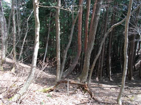 空山