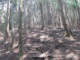 行者岳