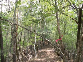 行者岳