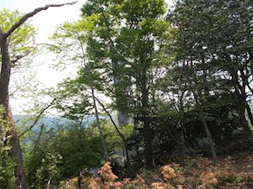 行者岳