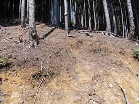 銅山
