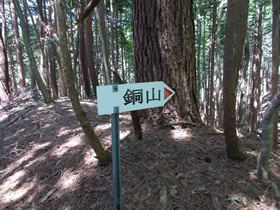 銅山