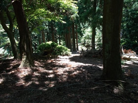 銅山